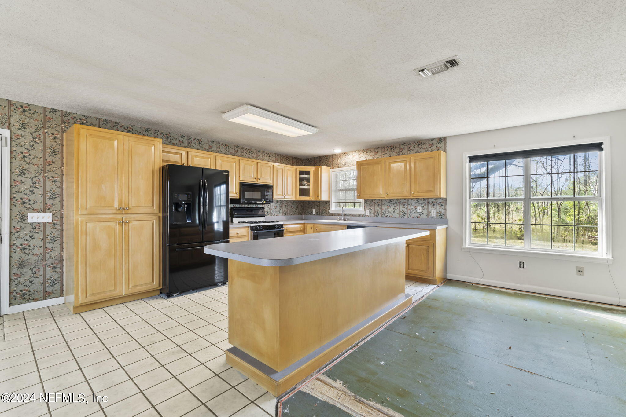 1356 Allie Murray Road Middleburg, FL 32068 - Photo 9 of 41 Kitchen