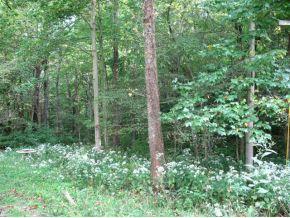25070 Chapel Road Laurel, IN 47024 - Photo 7 of 11