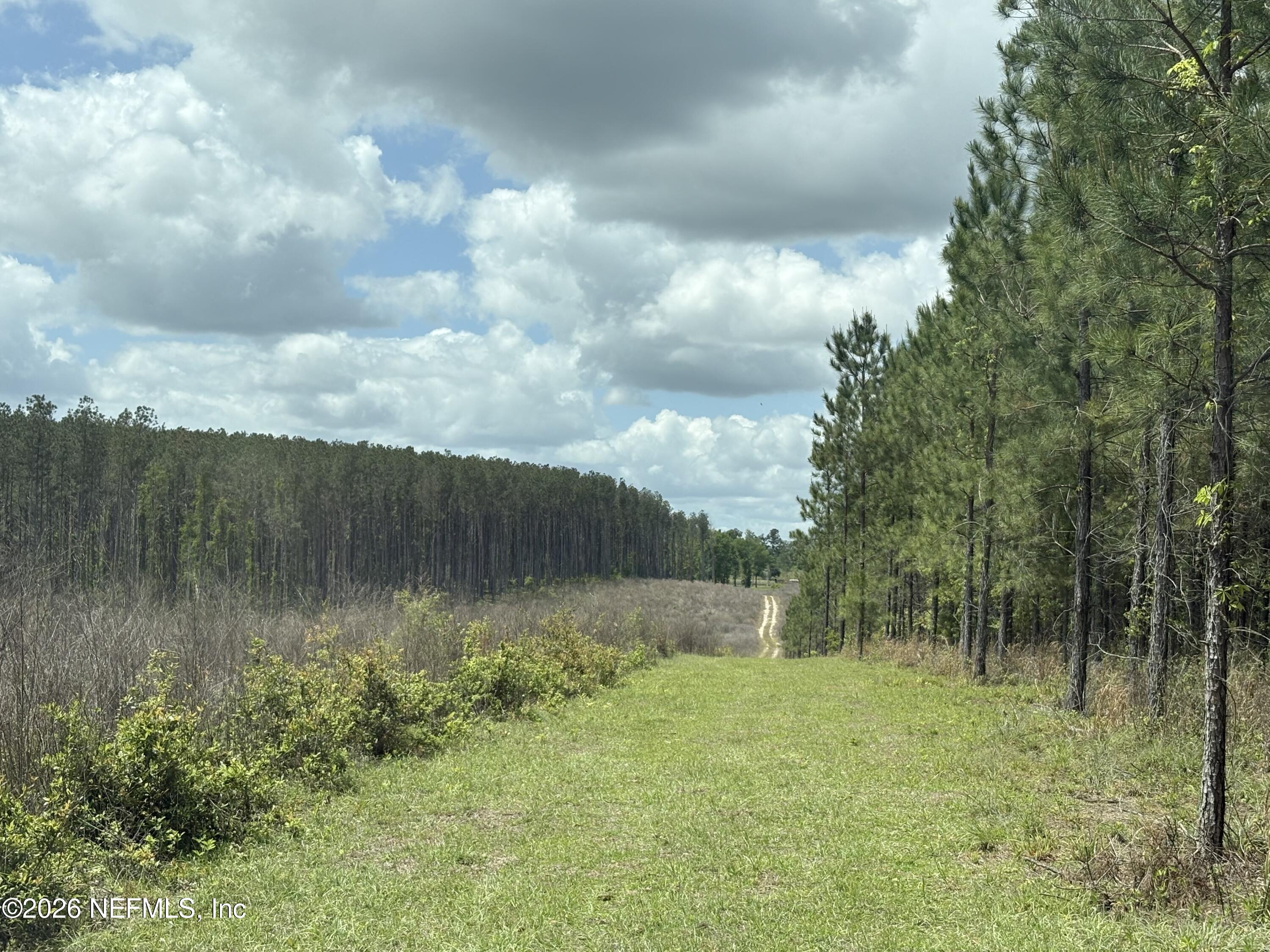 3600 Northeast Rocky Ford Road Pinetta, FL 32350 - Photo 14 of 15 IMG_3739