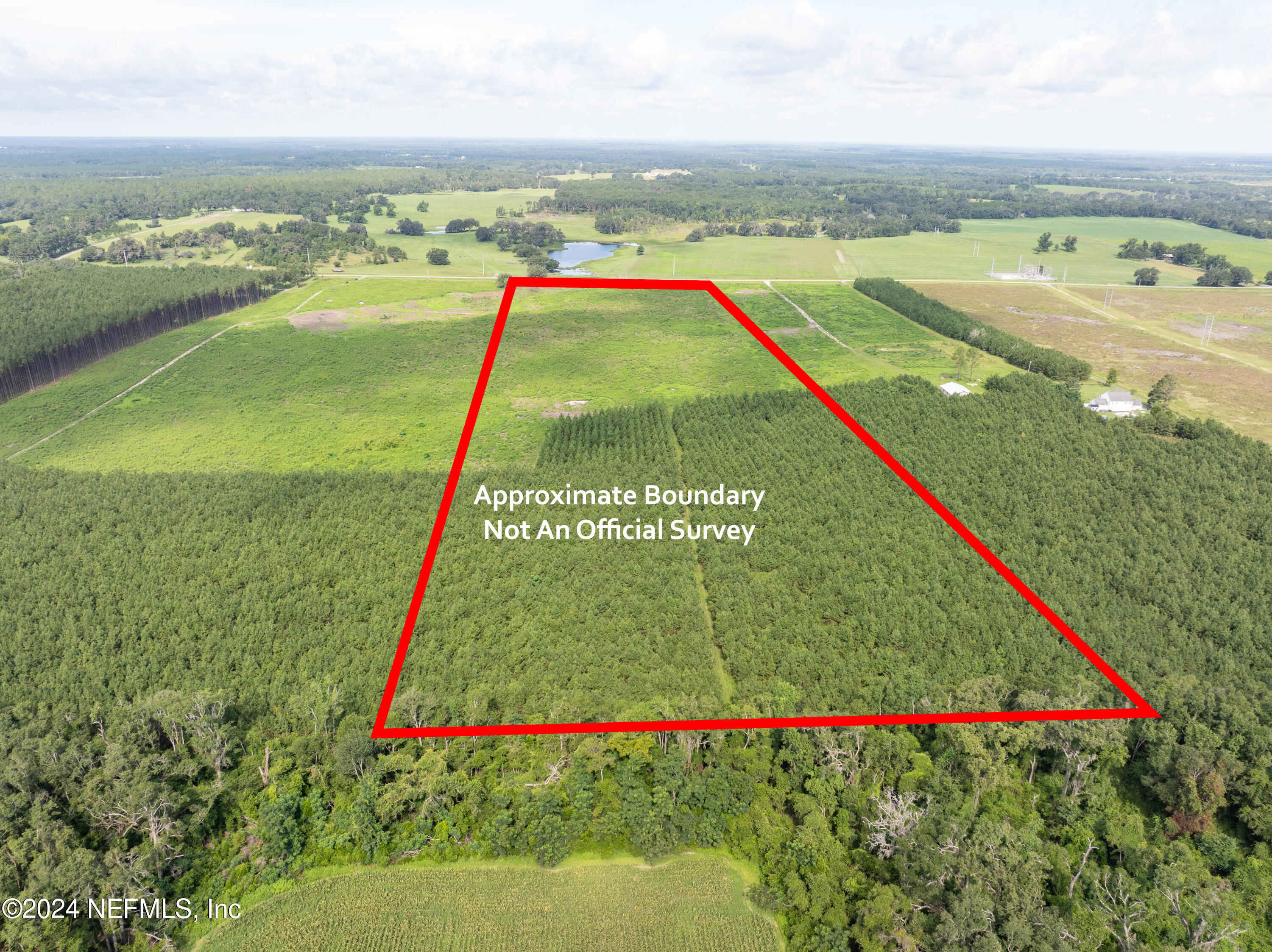 3600 Northeast Rocky Ford Road Pinetta, FL 32350 - Photo 2 of 12 a view of an outdoor space with a swimming pool