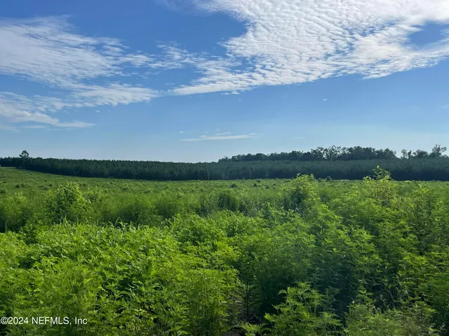 a backyard of a house with lots of green space