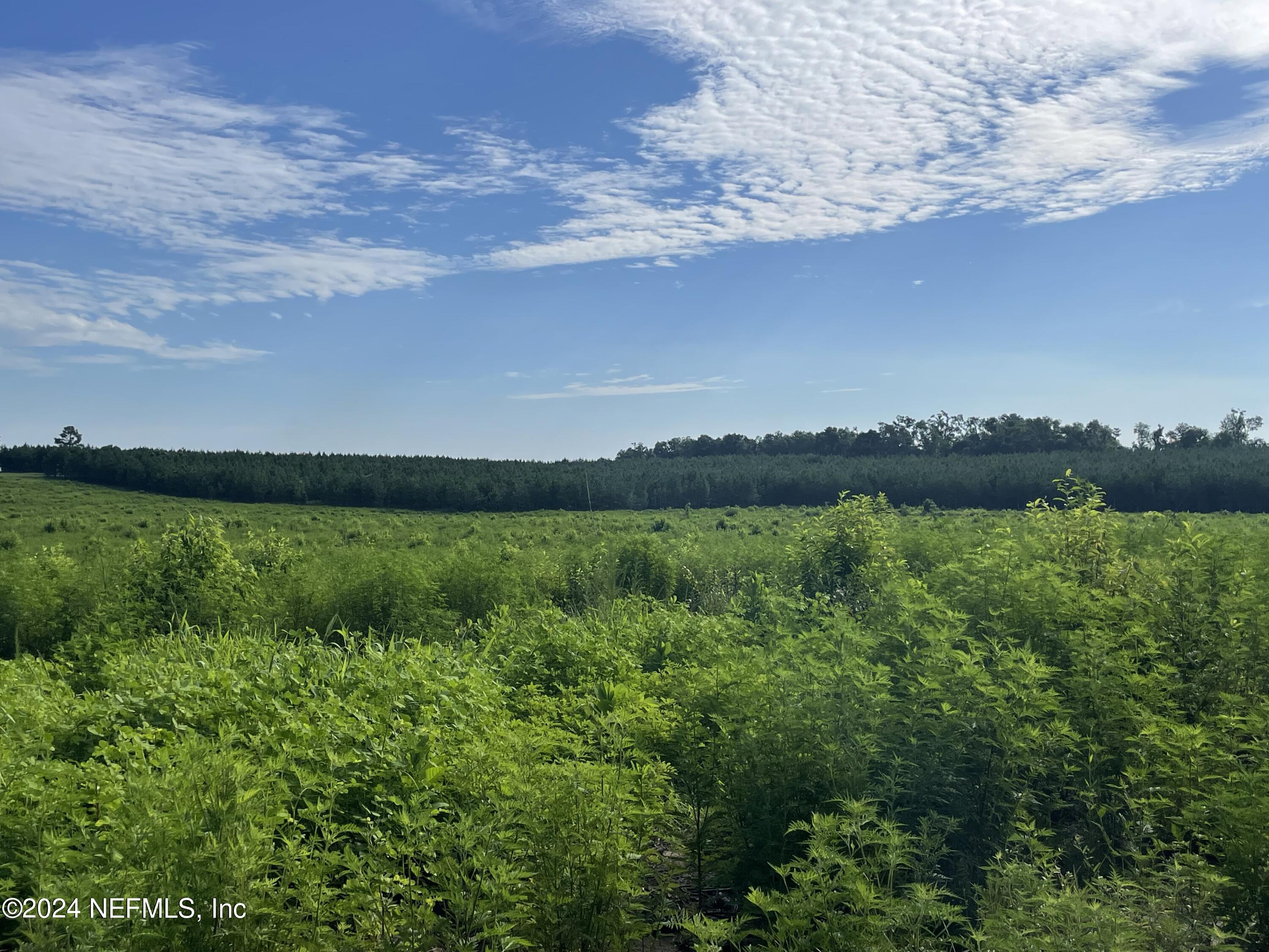 3600 Northeast Rocky Ford Road Pinetta, FL 32350 - Photo 8 of 12 a view of a lake and green valley