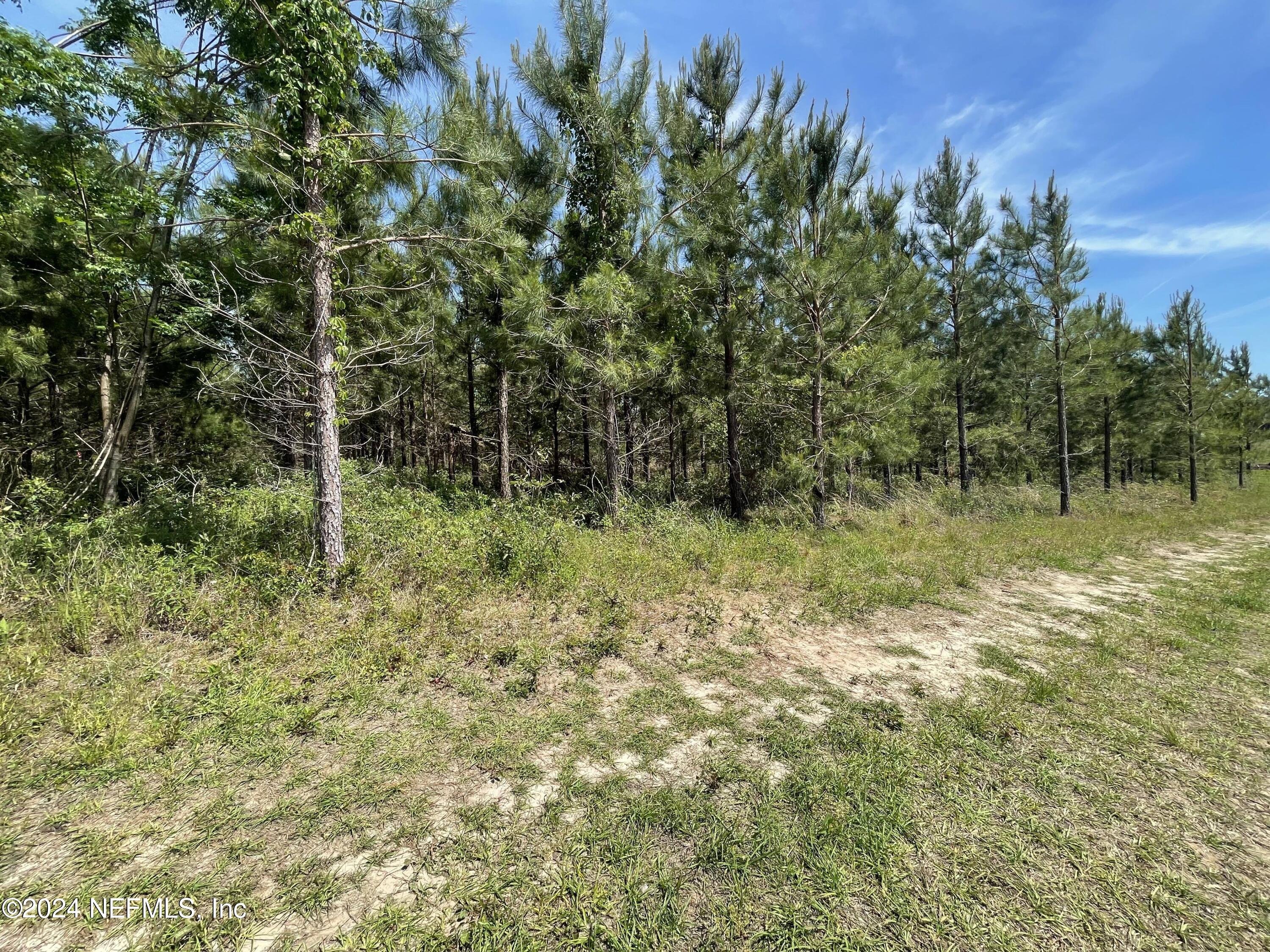 3600 Northeast Rocky Ford Road Pinetta, FL 32350 - Photo 10 of 12 a view of outdoor space and green space