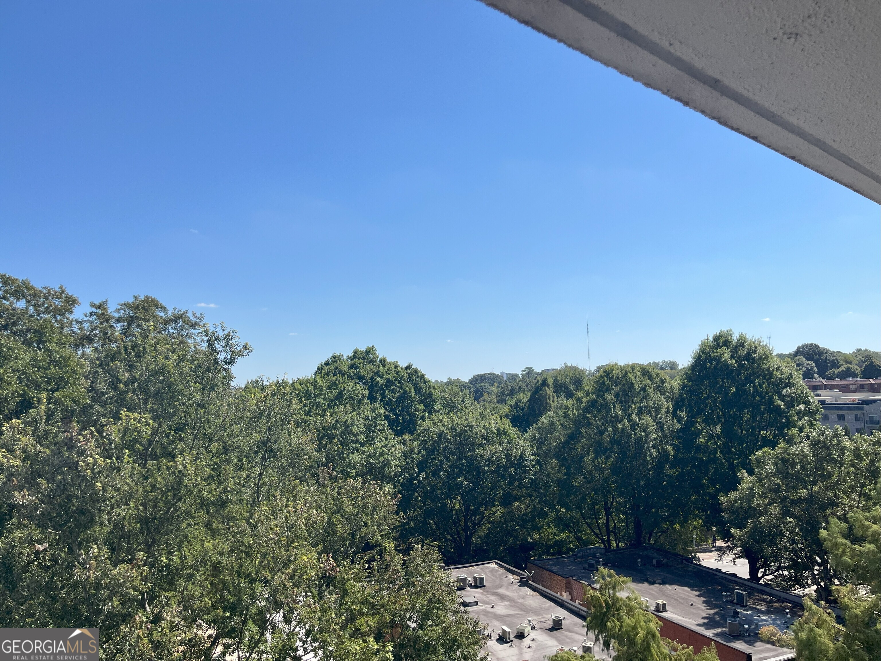 275 13th Street Northeast, Unit 605 Atlanta, GA 30309 - Photo 10 of 13 a view of a yard with a tree