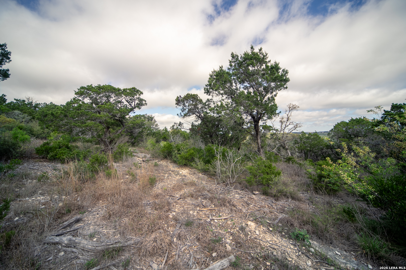 0 Pr 2777 Mico, TX 78056 - Photo 11 of 17 a big yard with lots of green space