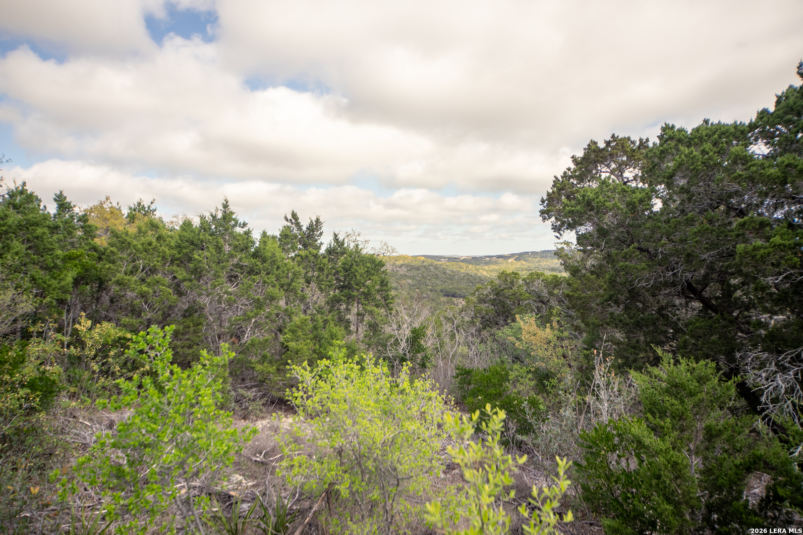 0 Pr 2777 Mico, TX 78056 - Photo 12 of 17 a view of a green field