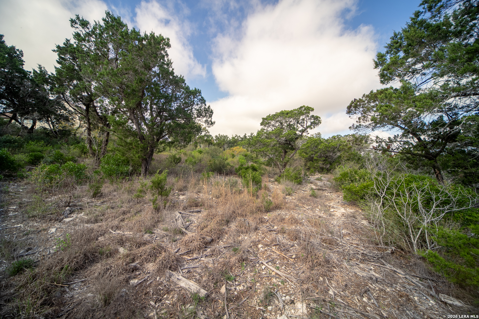 0 Pr 2777 Mico, TX 78056 - Photo 14 of 17 a view of a forest with trees in the background