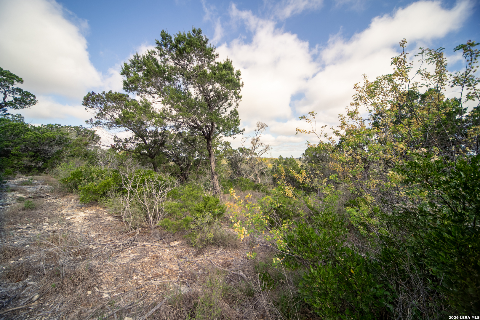 0 Pr 2777 Mico, TX 78056 - Photo 15 of 17 a view of a forest with lots of trees