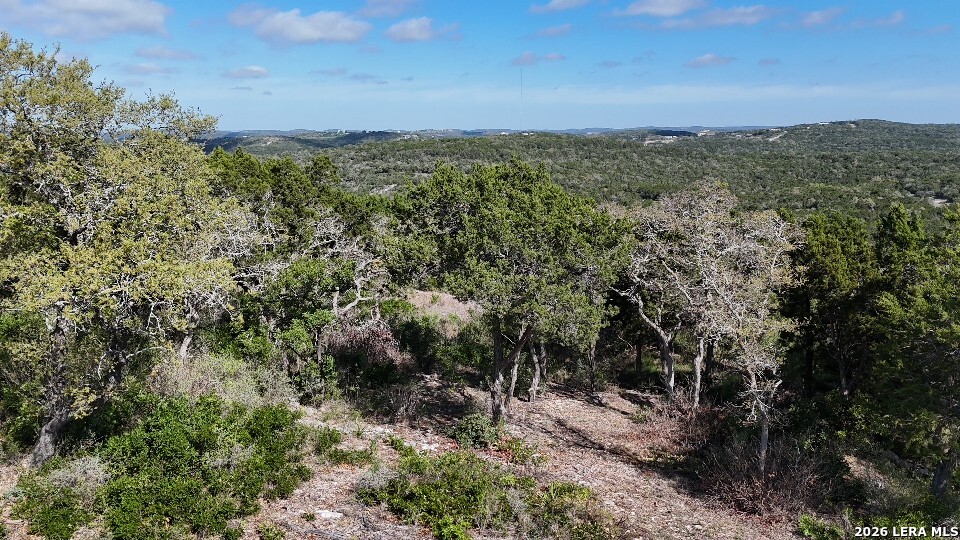 0 Pr 2777 Mico, TX 78056 - Photo 6 of 17 a view of a city with lush green forest
