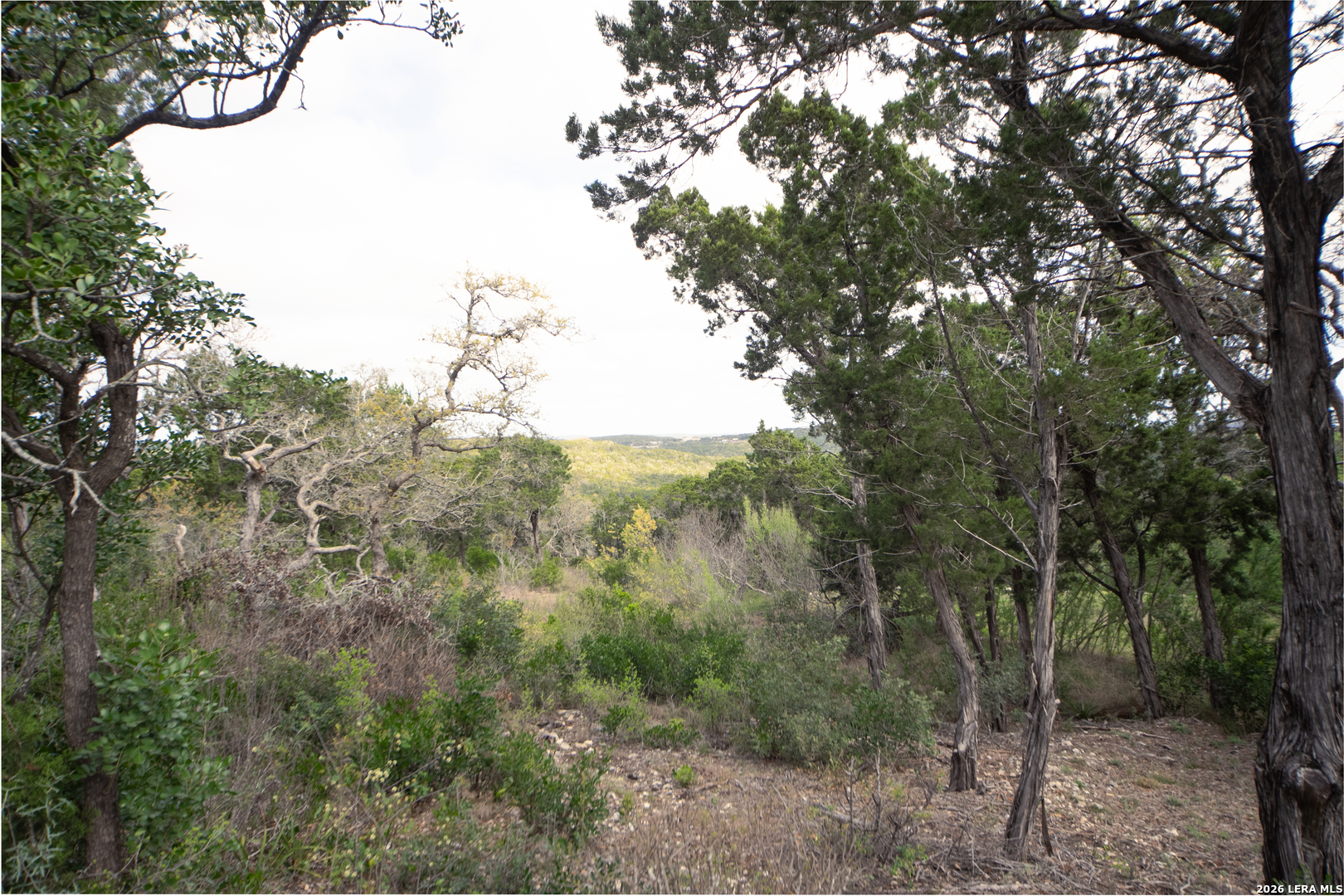 0 Pr 2777 Mico, TX 78056 - Photo 10 of 17 a view of a forest