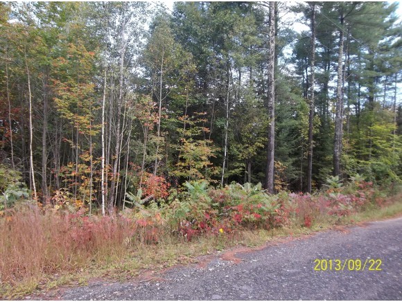 19 Eagles Nest Road Warren, NH 03279 - Photo 1 of 1 Gallery Image 1