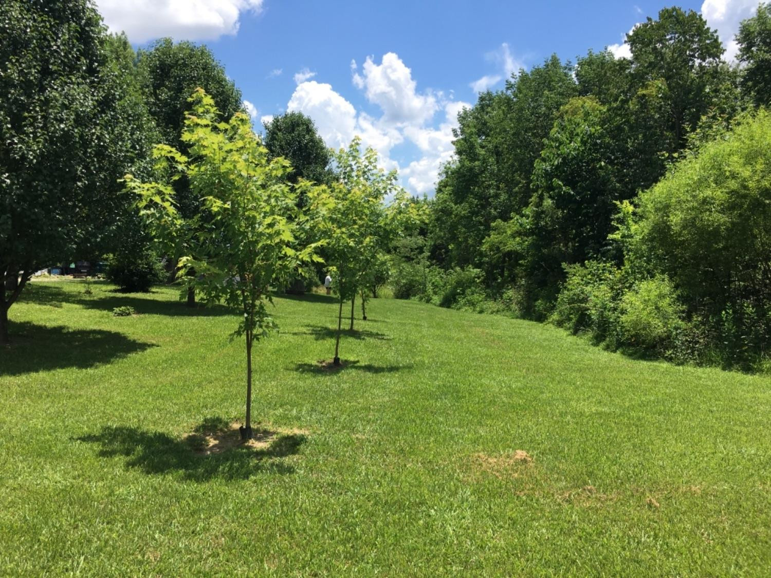 130 Arthur Jackson Road Berea, KY 40403 - Photo 11 of 13 Photo 11