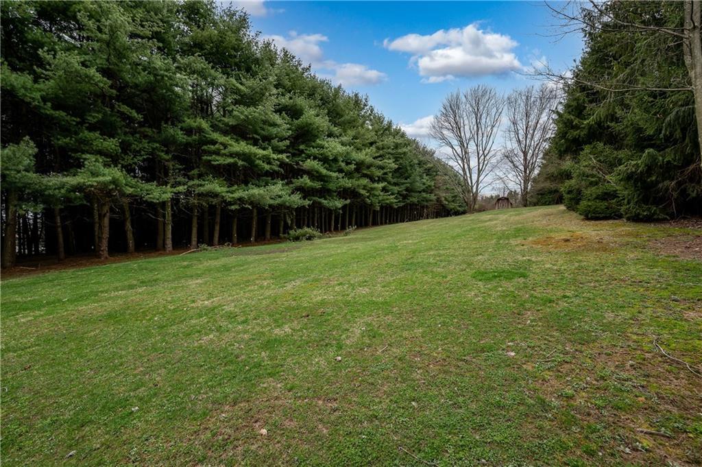 232 Pflugh Road Butler, PA 16001 - Photo 24 of 24 a backyard of a house with lots of green space