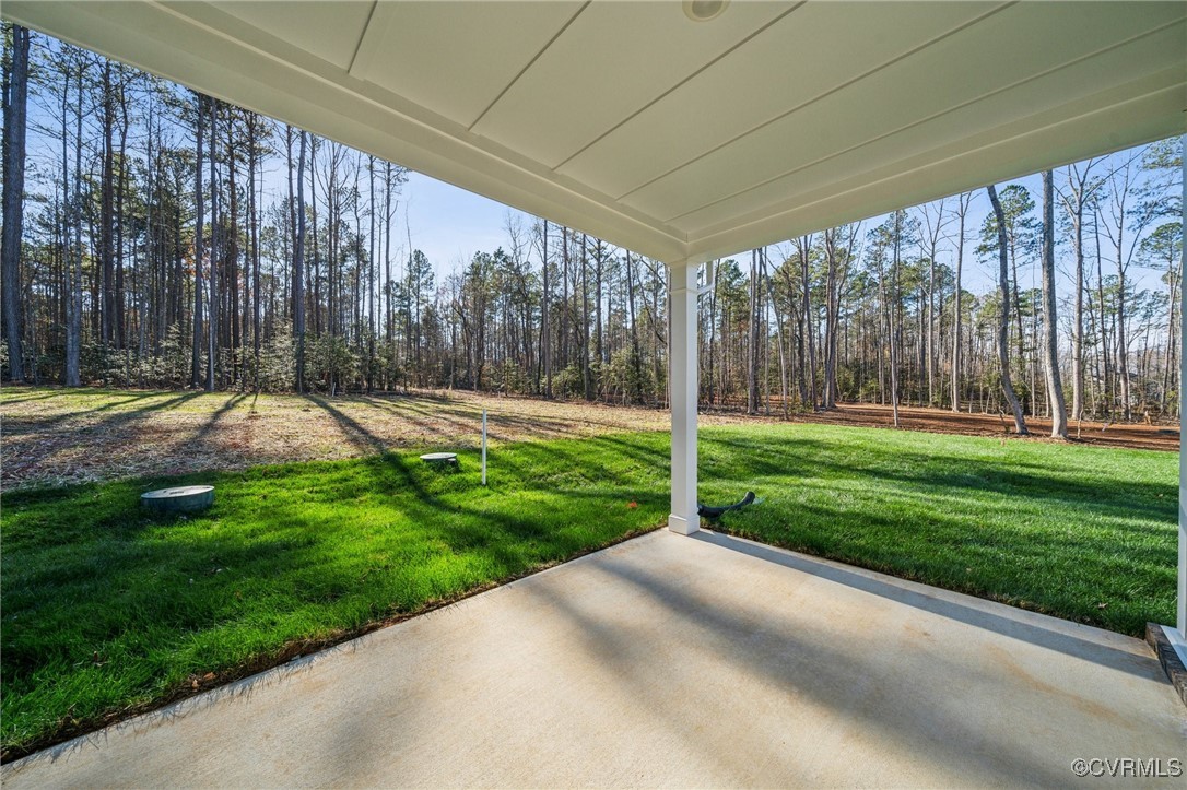 2690 Maidens Road Powhatan, VA 23139 - Photo 25 of 25 Gallery Image 25