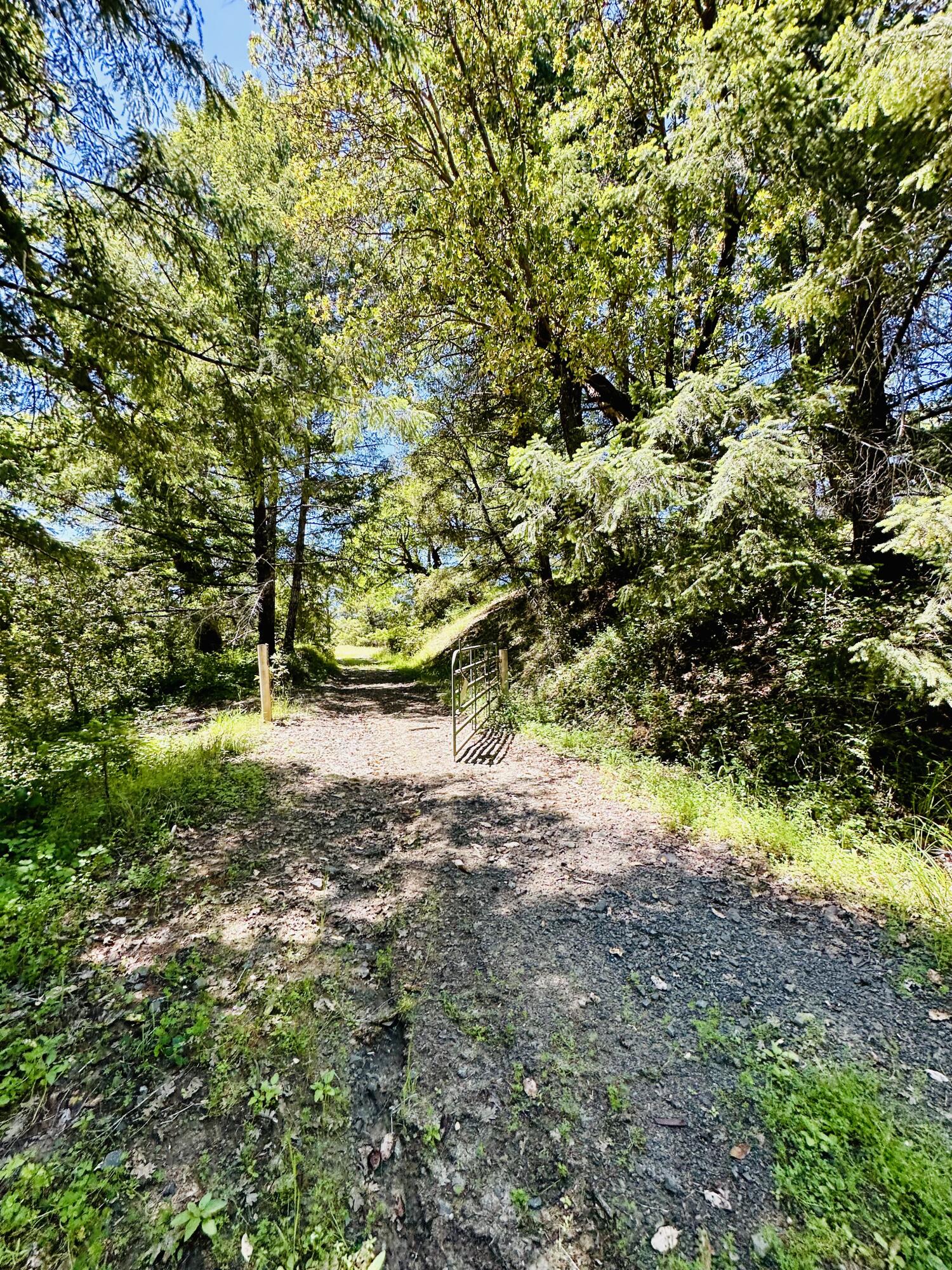 400 Seely Creek Road Redway, CA 95560 - Photo 43 of 73