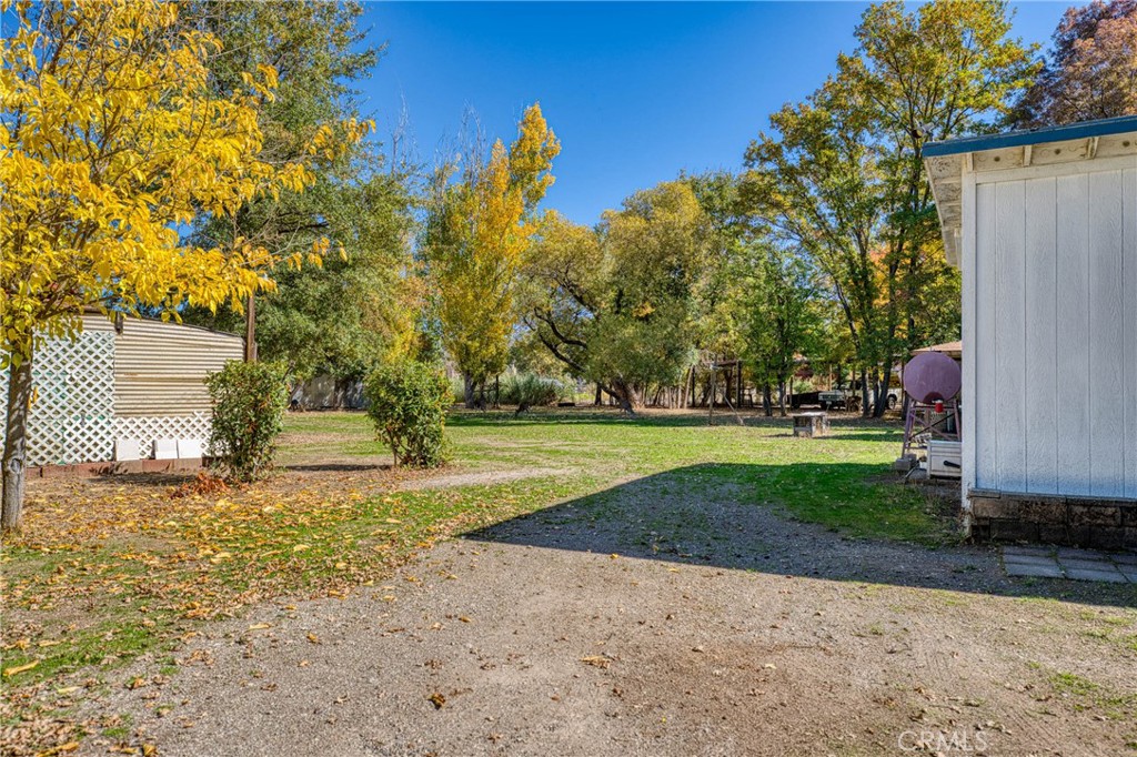 11694 Old Spruce Grove Road Lower Lake, CA 95457 - Photo 23 of 55 a view of a yard with large trees