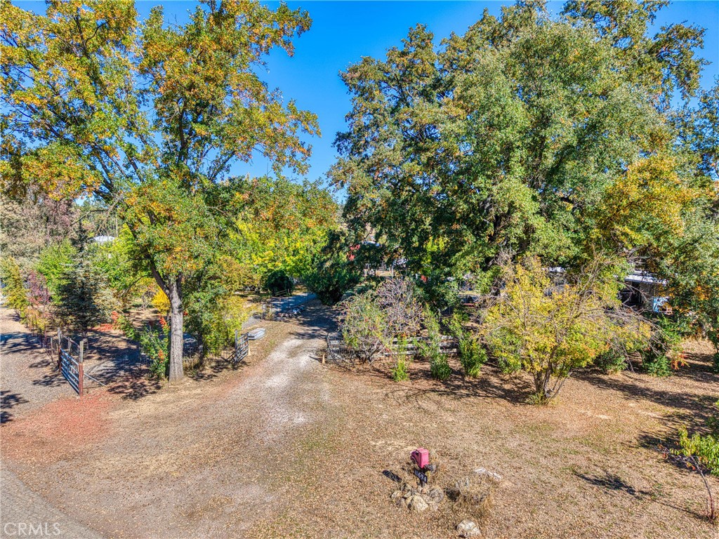 11694 Old Spruce Grove Road Lower Lake, CA 95457 - Photo 27 of 55 a backyard of a house with lots of green space