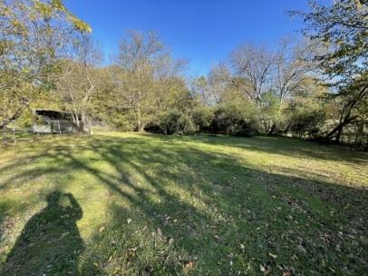 613 South Fielder Road Arlington, TX 76013 - Photo 3 of 4