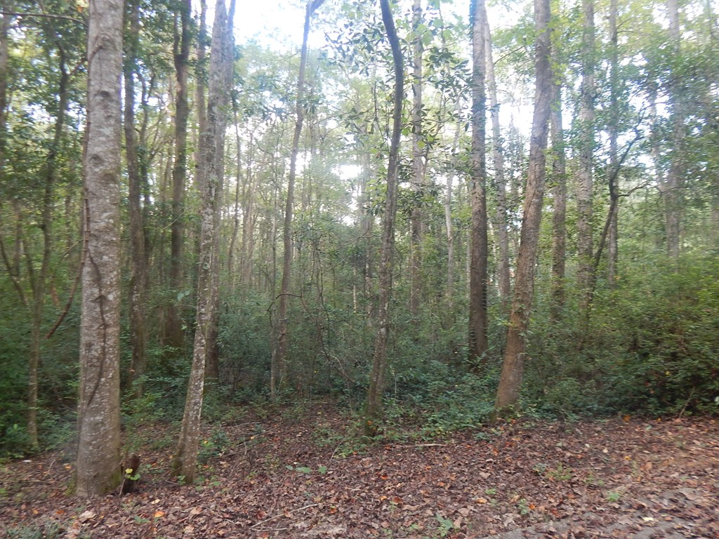 8 Belle Oak Road Dothan, AL 36303 - Photo 5 of 5