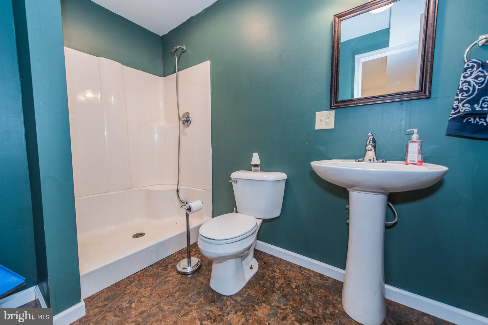 377 Gap Road Front Royal, VA 22630 - Photo 20 of 30 Lower Level Full Bath