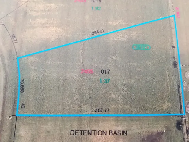 a close up of a white and white