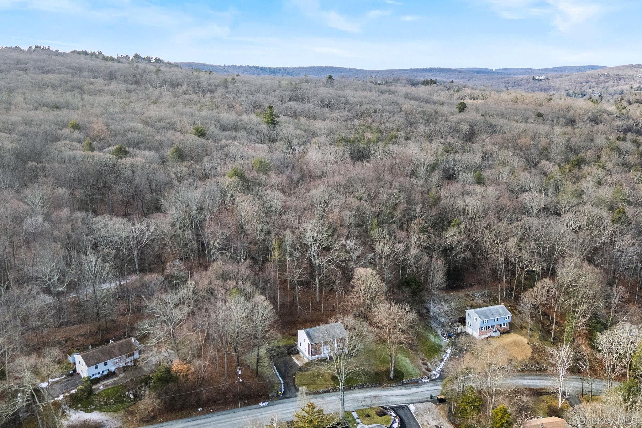 46 Nursery Road Tuxedo Park, NY 10987 - Photo 41 of 42