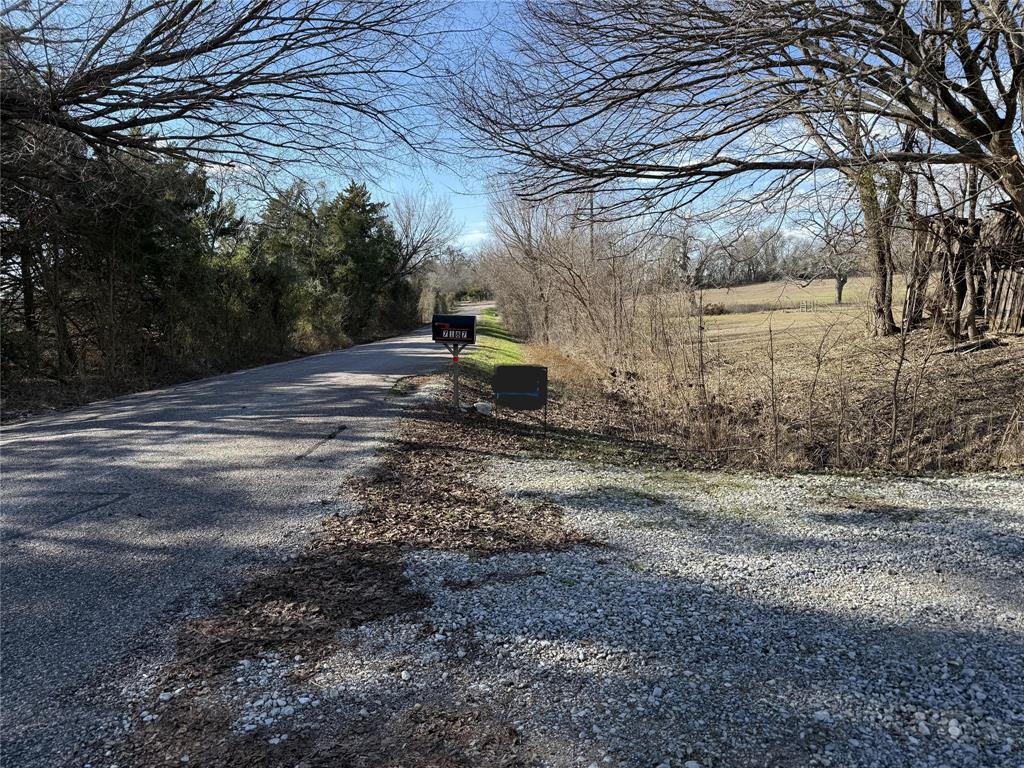 7187 County Road 1037 Blue Ridge, TX 75424 - Photo 9 of 9 a view of a yard with a tree