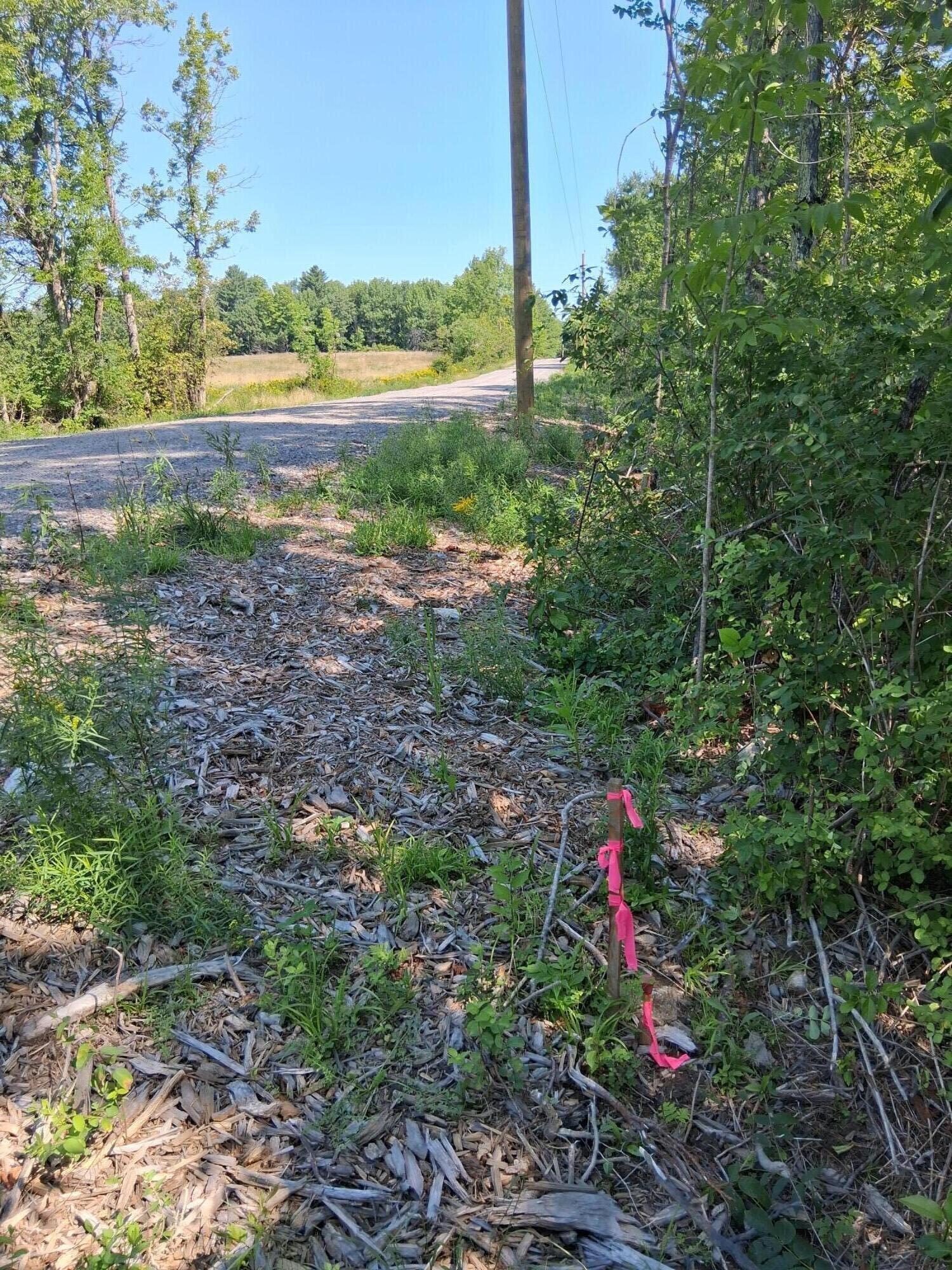 Tbd Dingley Road Bowdoinham, ME 04008 - Photo 6 of 10 Right Side Boundary Marker