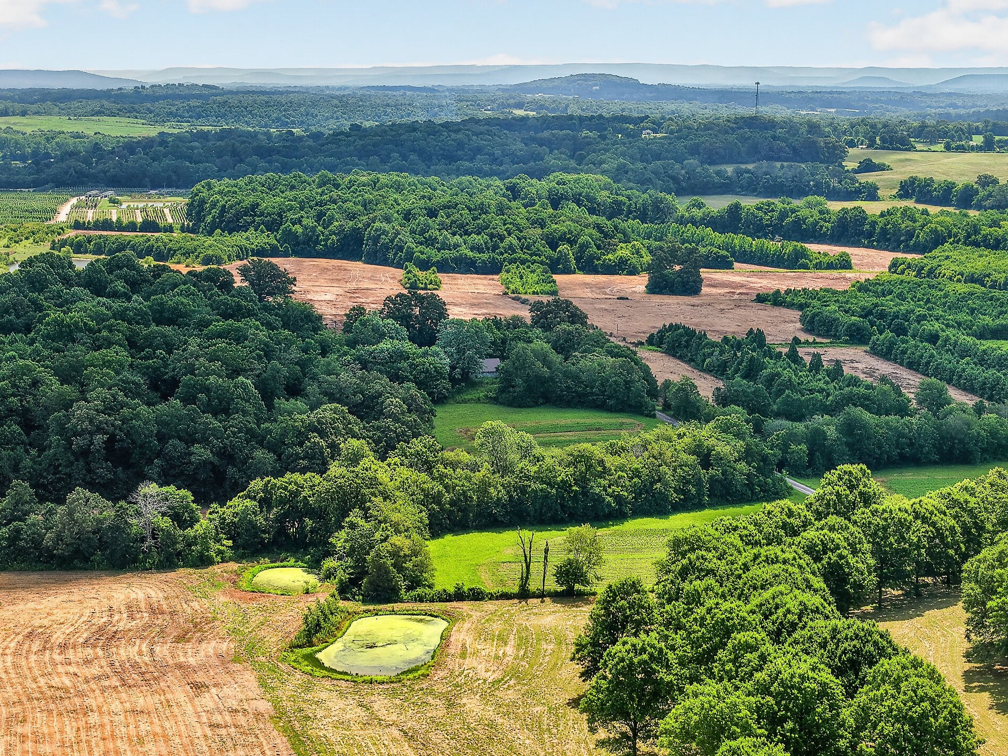 1600 Magness Road McMinnville, TN 37110 - Photo 63 of 63