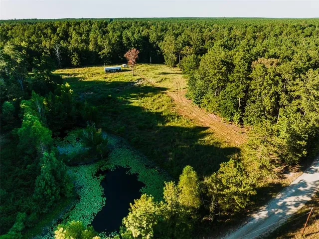 $99,999 | 141 Buford Lashley Road, Atlanta, LA 71404