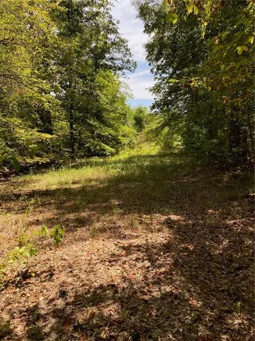 $99,999 | 141 Buford Lashley Road, Atlanta, LA 71404