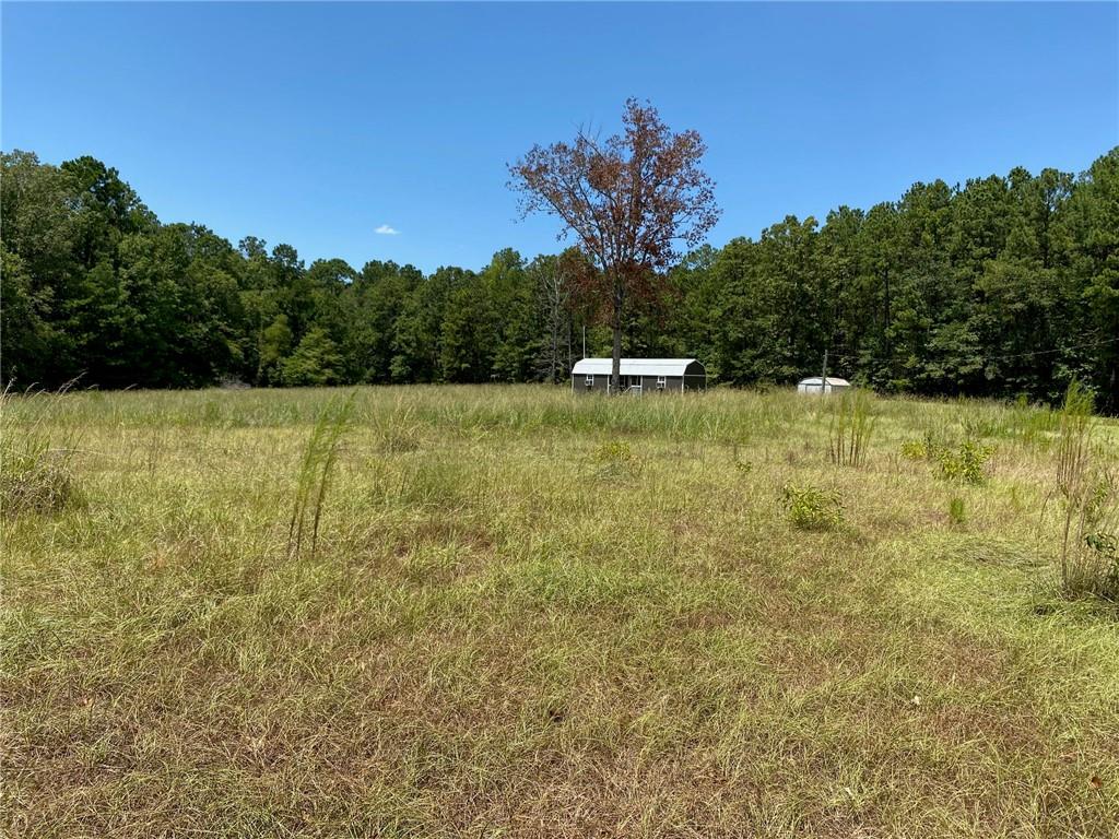 141 Buford Lashley Road Atlanta, LA 71404 - Photo 17 of 33