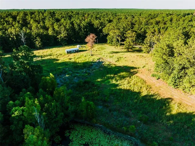 $99,999 | 141 Buford Lashley Road, Atlanta, LA 71404