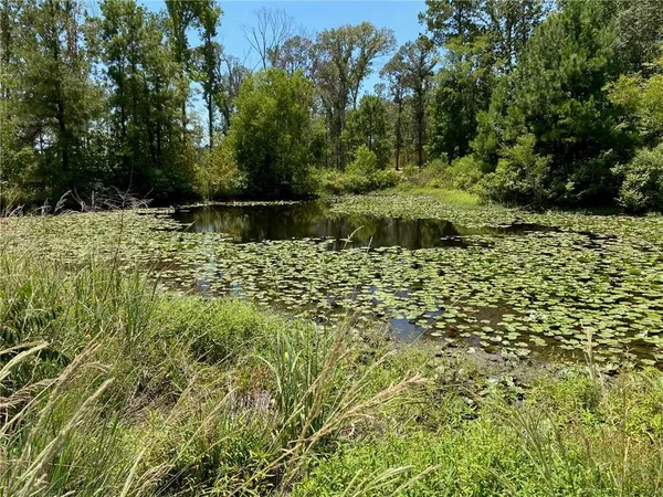 $99,999 | 141 Buford Lashley Road, Atlanta, LA 71404