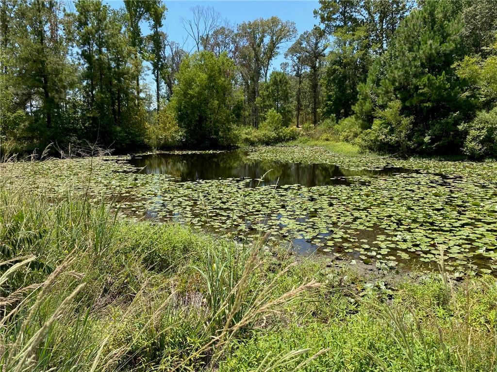 141 Buford Lashley Road Atlanta, LA 71404 - Photo 22 of 33