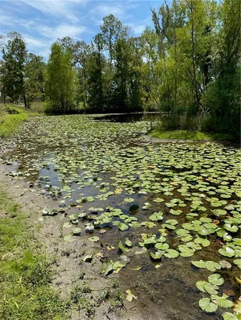 $99,999 | 141 Buford Lashley Road, Atlanta, LA 71404