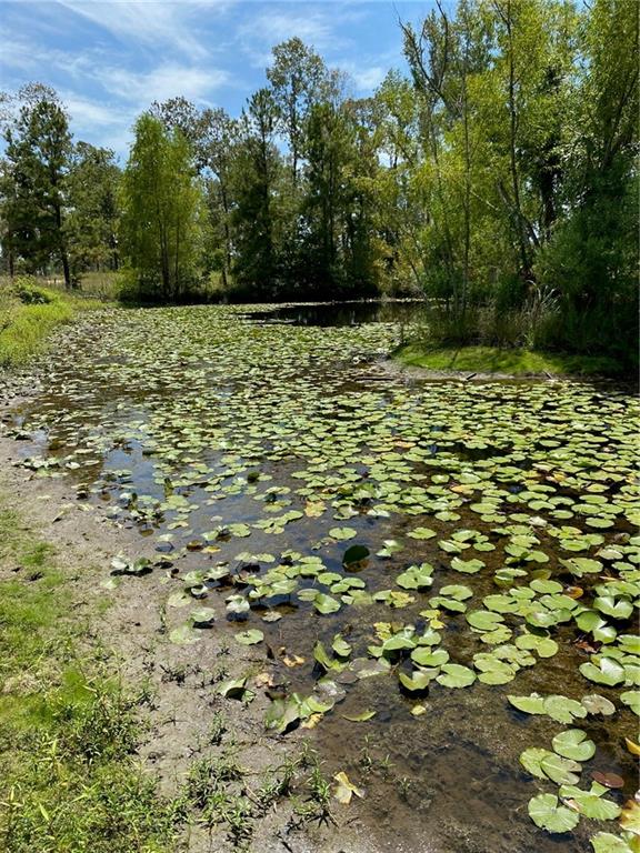 141 Buford Lashley Road Atlanta, LA 71404 - Photo 23 of 33