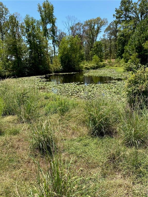 141 Buford Lashley Road Atlanta, LA 71404 - Photo 24 of 33