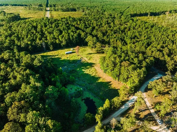 $99,999 | 141 Buford Lashley Road, Atlanta, LA 71404