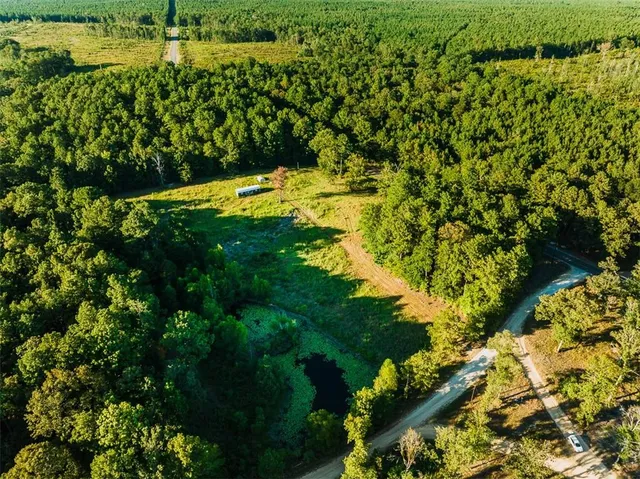 $99,999 | 141 Buford Lashley Road, Atlanta, LA 71404