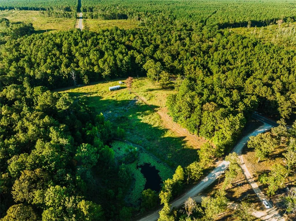 141 Buford Lashley Road Atlanta, LA 71404 - Photo 3 of 33