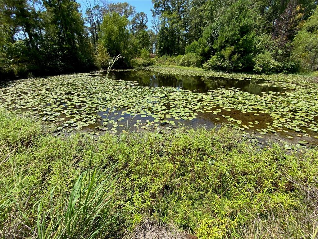 141 Buford Lashley Road Atlanta, LA 71404 - Photo 5 of 33