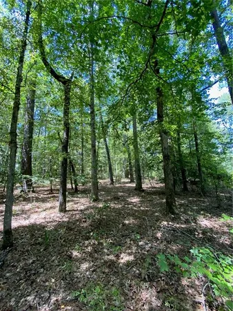 $99,999 | 141 Buford Lashley Road, Atlanta, LA 71404