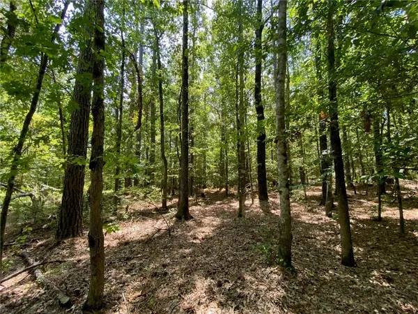 $99,999 | 141 Buford Lashley Road, Atlanta, LA 71404