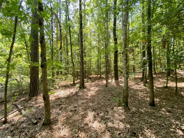 $99,999 | 141 Buford Lashley Road, Atlanta, LA 71404