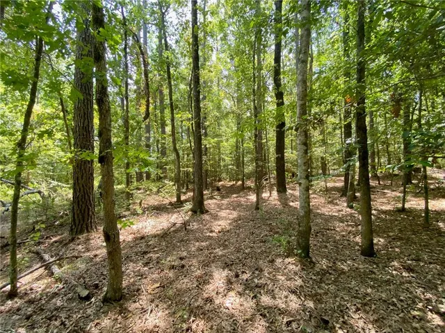 $99,999 | 141 Buford Lashley Road, Atlanta, LA 71404