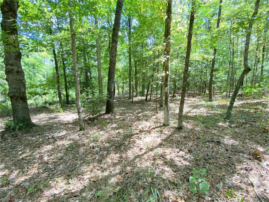 141 Buford Lashley Road Atlanta, LA 71404 - Photo 9 of 33