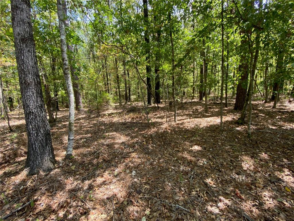 141 Buford Lashley Road Atlanta, LA 71404 - Photo 10 of 33