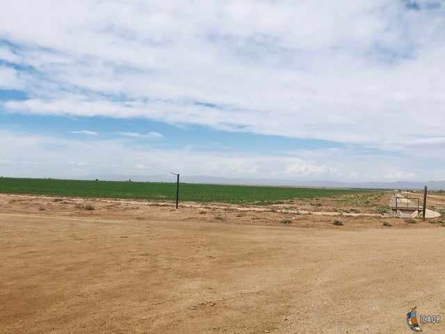 1698 Dowden Road Calipatria, CA 92233 - Photo 5 of 12 Gallery Image 5