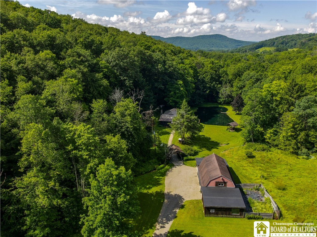 738 Butternut Brook Genesee, NY 14770 - Photo 37 of 47